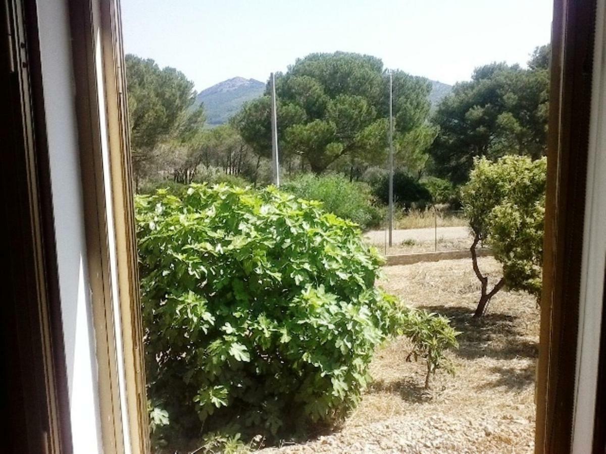 Privacy & Relax In Sardegna Bed and Breakfast Porto Conte Εξωτερικό φωτογραφία