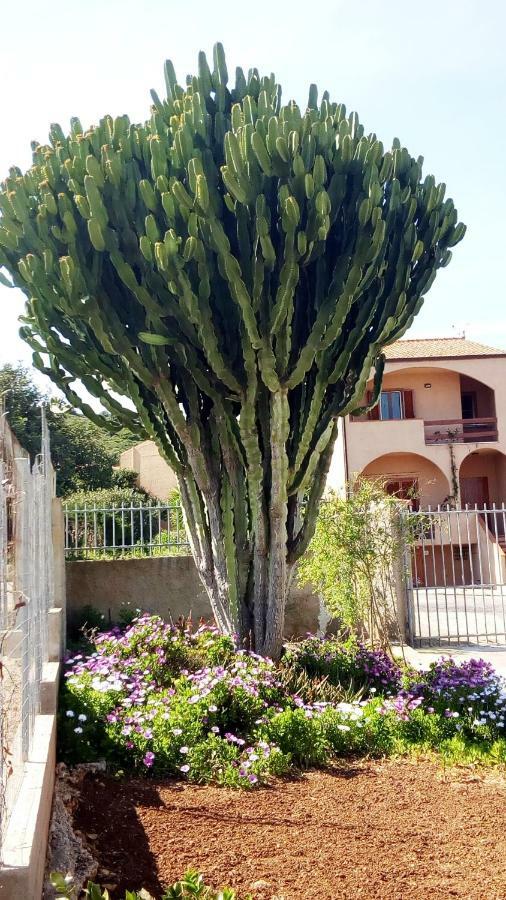 Privacy & Relax In Sardegna Bed and Breakfast Porto Conte Εξωτερικό φωτογραφία